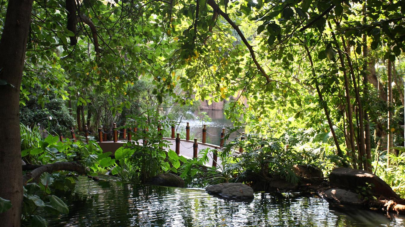 Cascades thumbnail 5